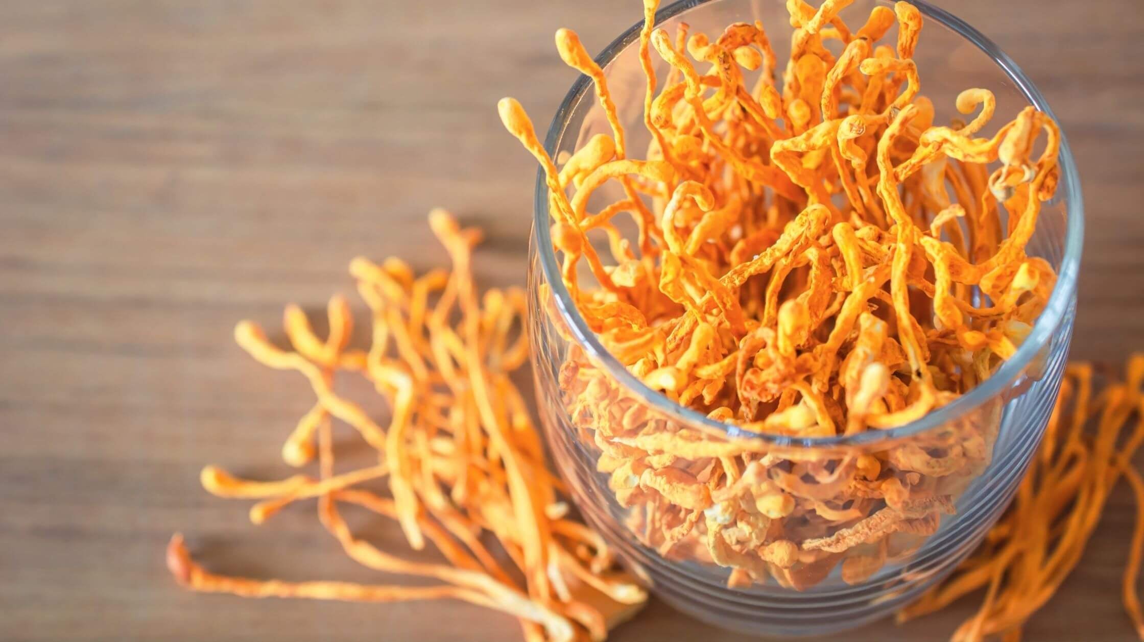 Cordyceps: Optimize Energy Levels & Manage Stress